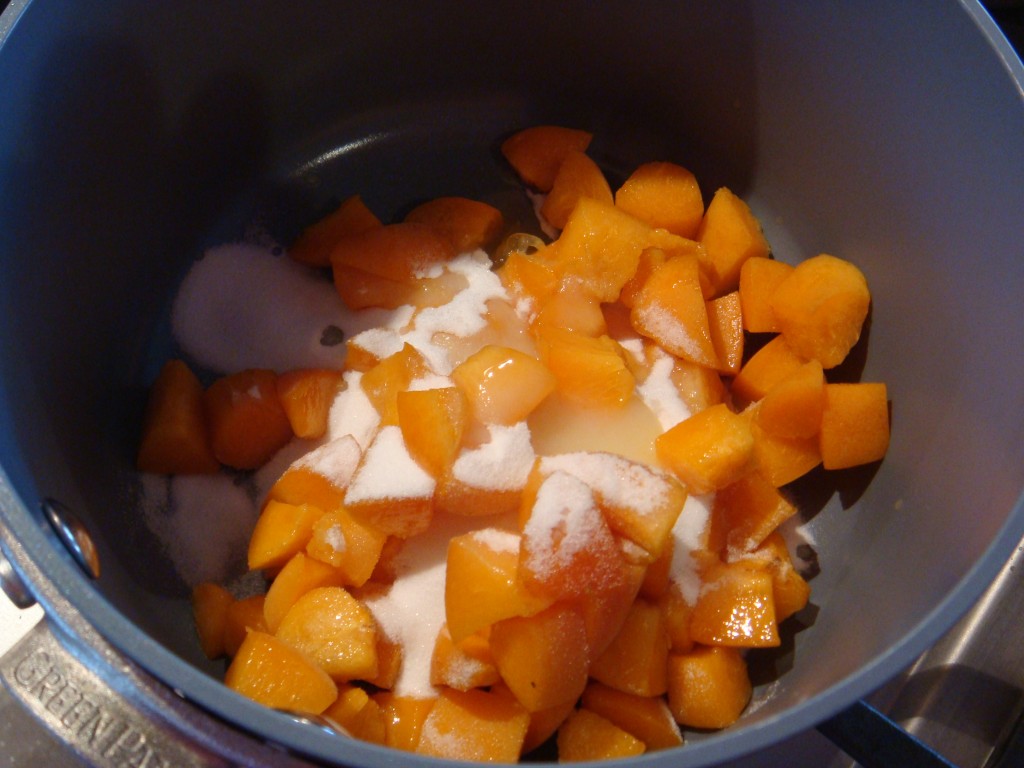 Homemade Fruit Leather… Apricot Boston Food & Whine