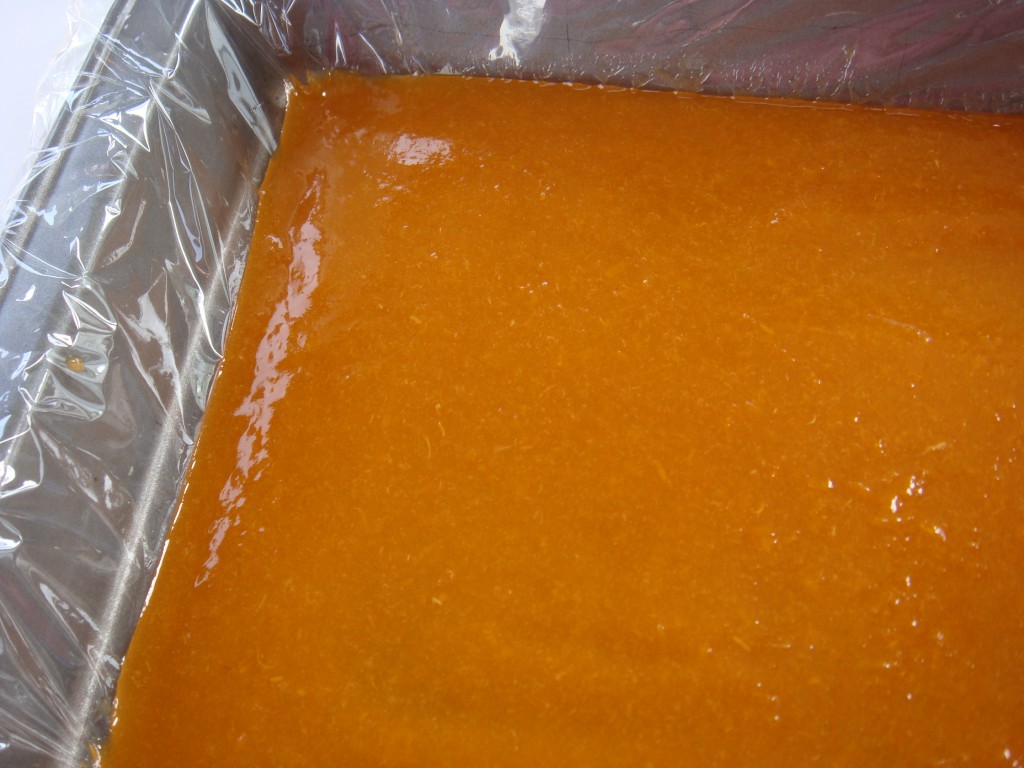 Homemade Fruit Leather… Apricot Boston Food & Whine