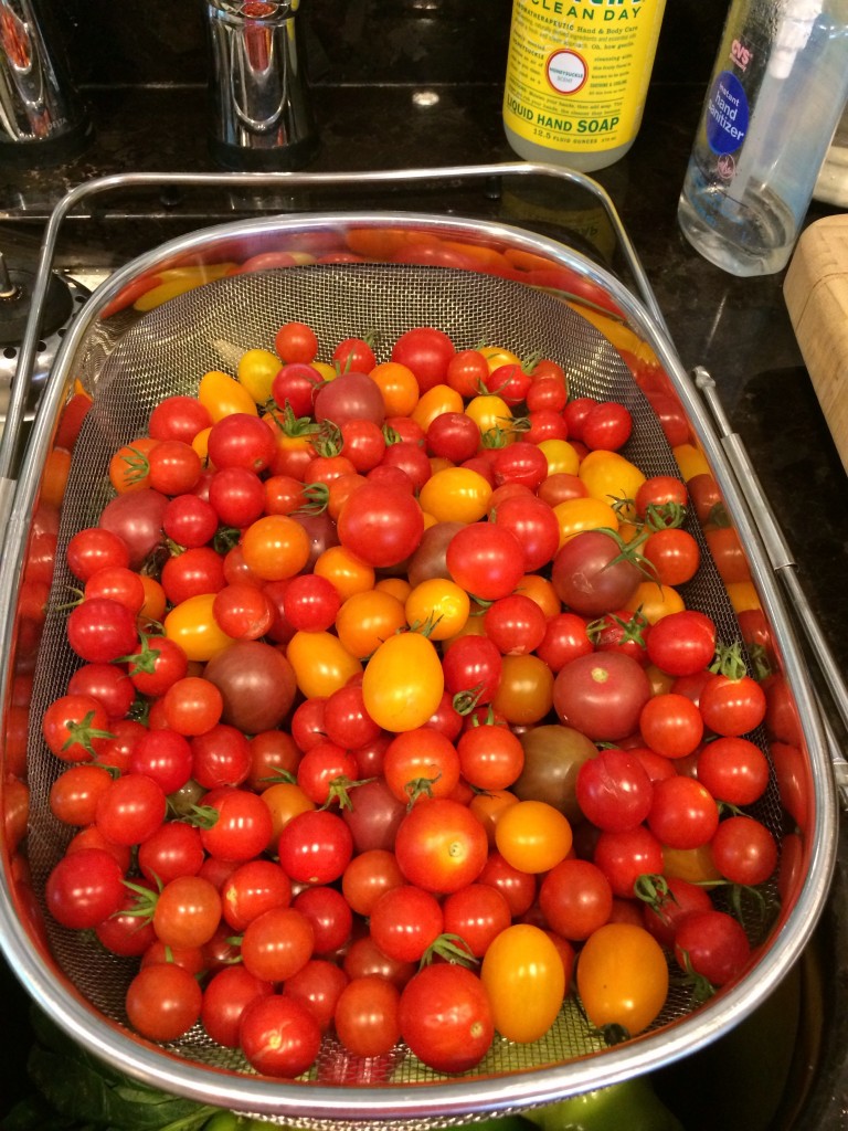 Lots and lots of cherry tomatoes!