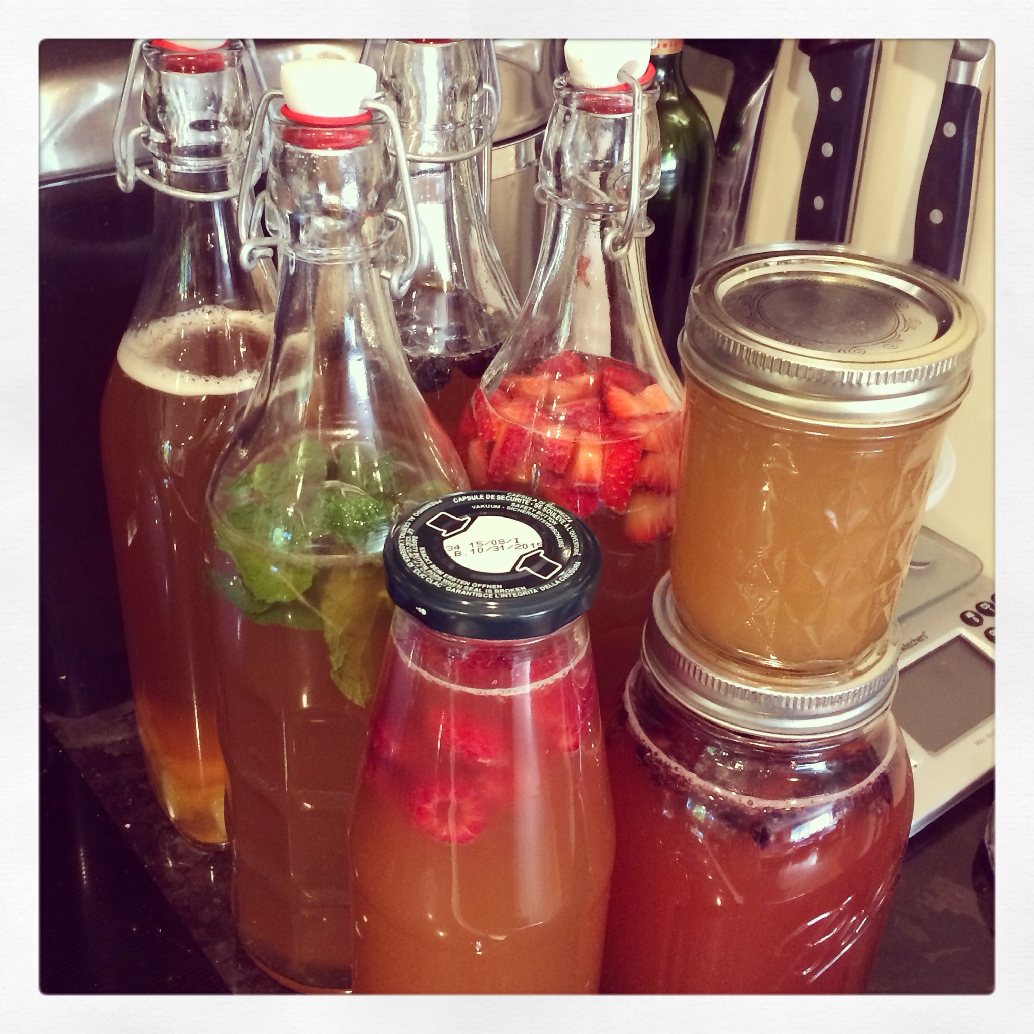 Homebrewed Kombucha Why I am SO Addicted Boston Food & Whine